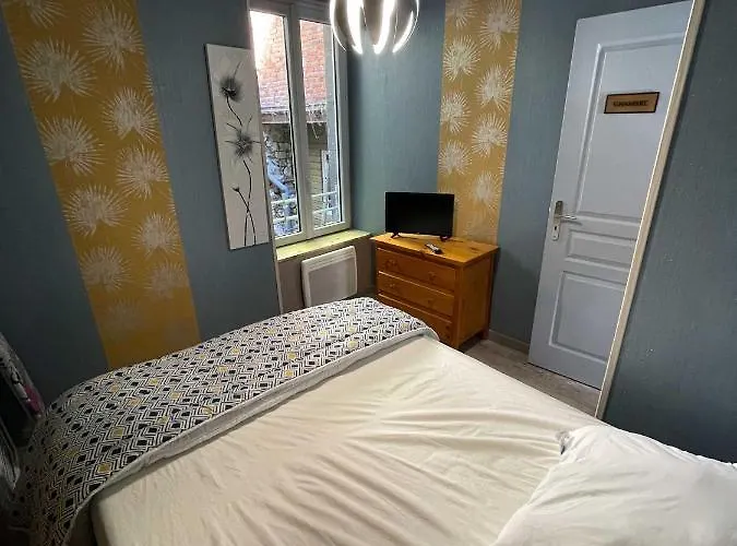 Le Martin pêcheur, Appartement proche hyper centre