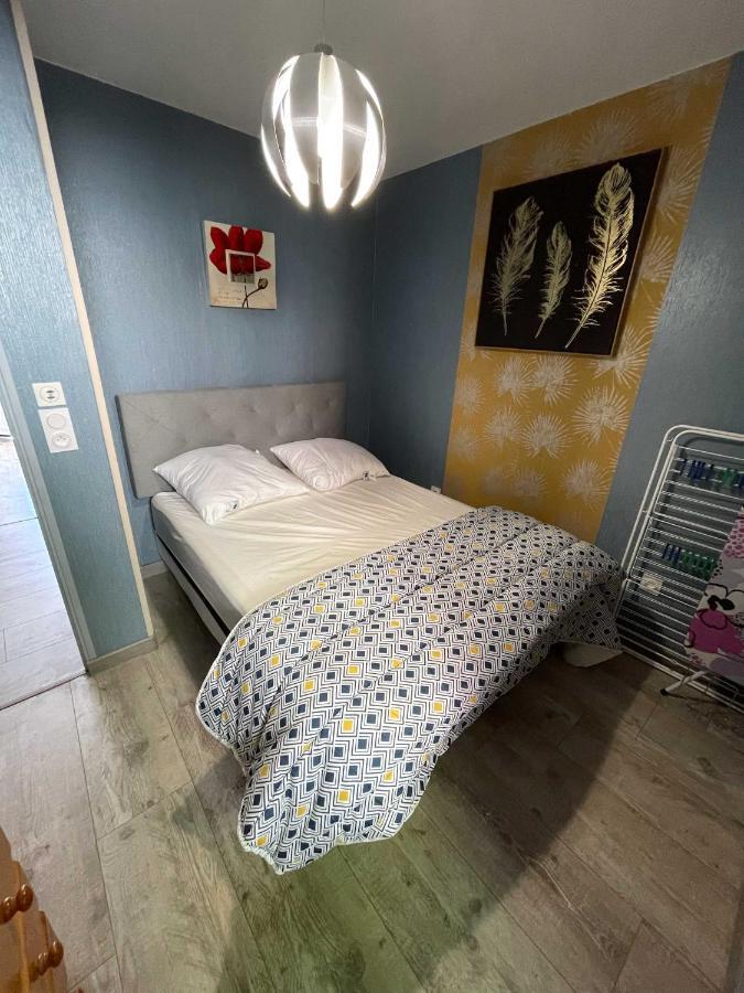 Le Martin Pêcheur, Proche Hyper Centre Appartement *